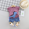 A Boy in Hot Weather Wears A Sweatshirt Suit with A Dinosaur Design T Shirt Kids Boy Clothes Sets Babies Full Set Clothes